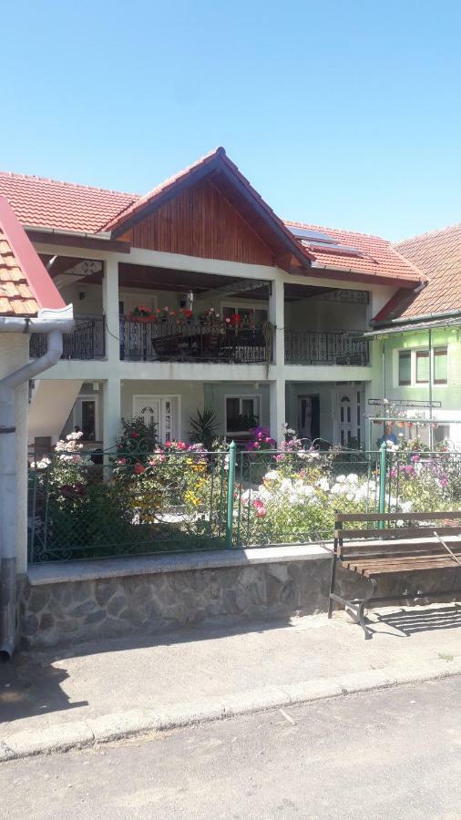 Gasthaus Casa Maria Retezat Nucsoara  Exterior foto